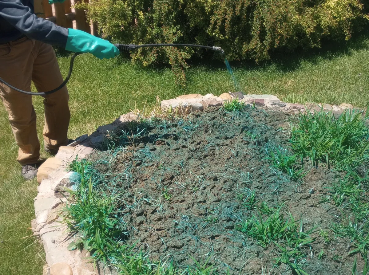 Lawn and Garden