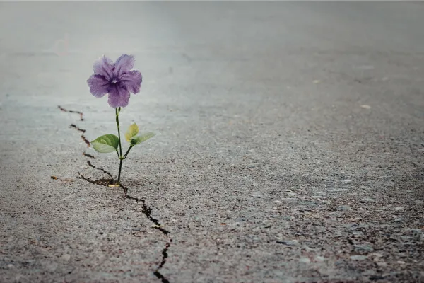 Voice Cracking Causes & Solutions for Singers Explained