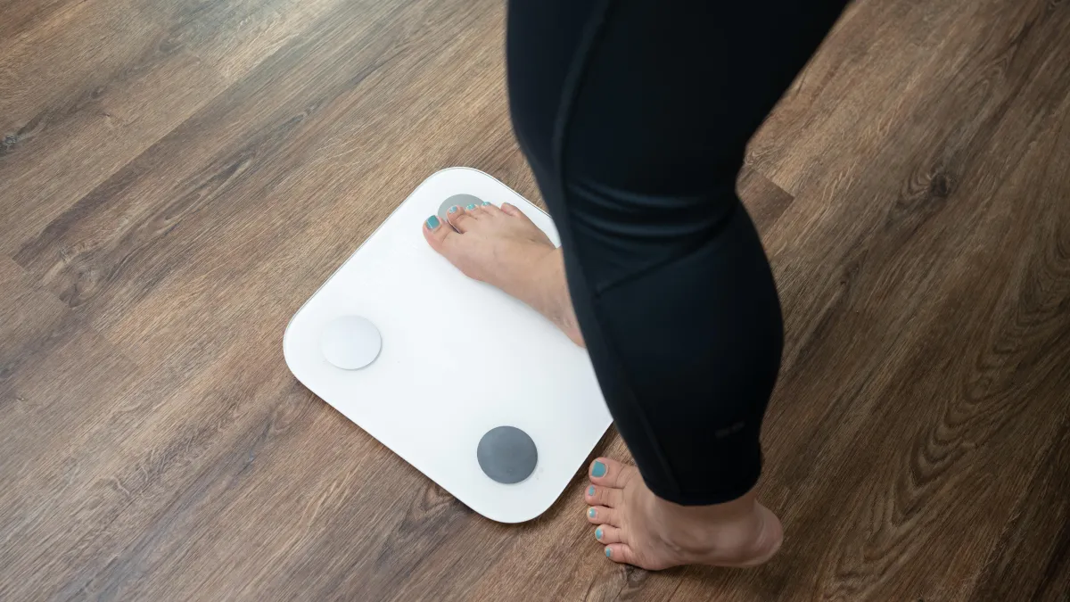 brown dried leaves on ground with trees