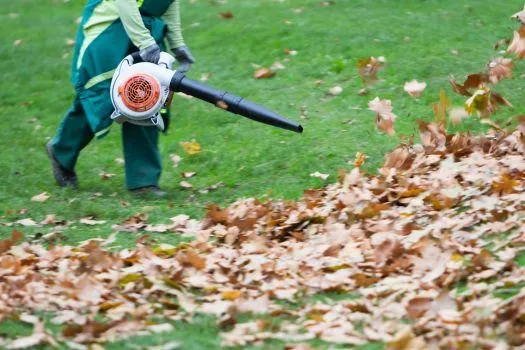 Worker using a leaf blower to clear leaves from a lawn.