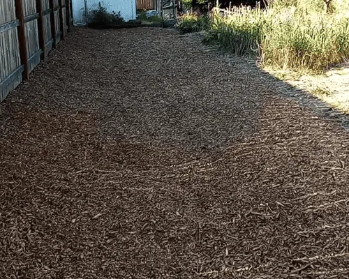 Grants Pass, OR Property Cleanup