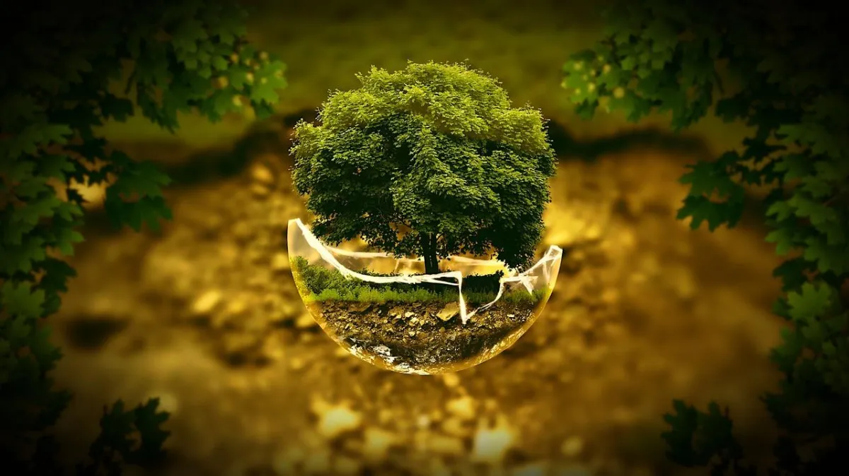 Atree growing out of a broken glass globe represents expanding beyond initial boudaries.