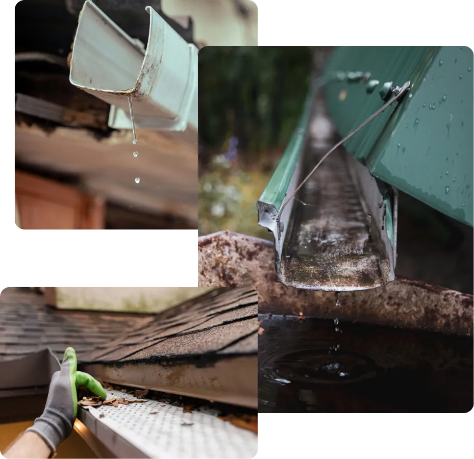 Gutter guard leaf protection