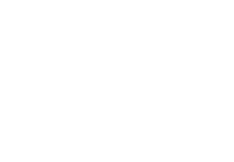 Surge Screen Printing and Embroidery Logo
