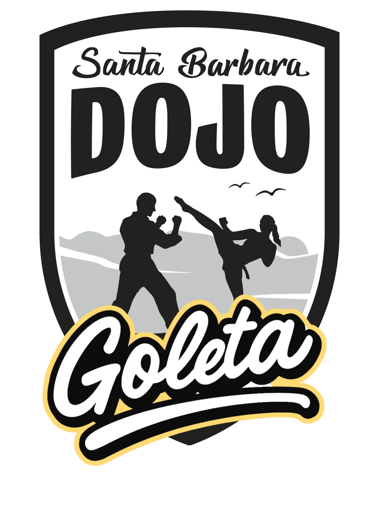 Train Martial Arts in Goleta, California