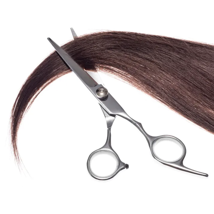 Scissors cutting hair