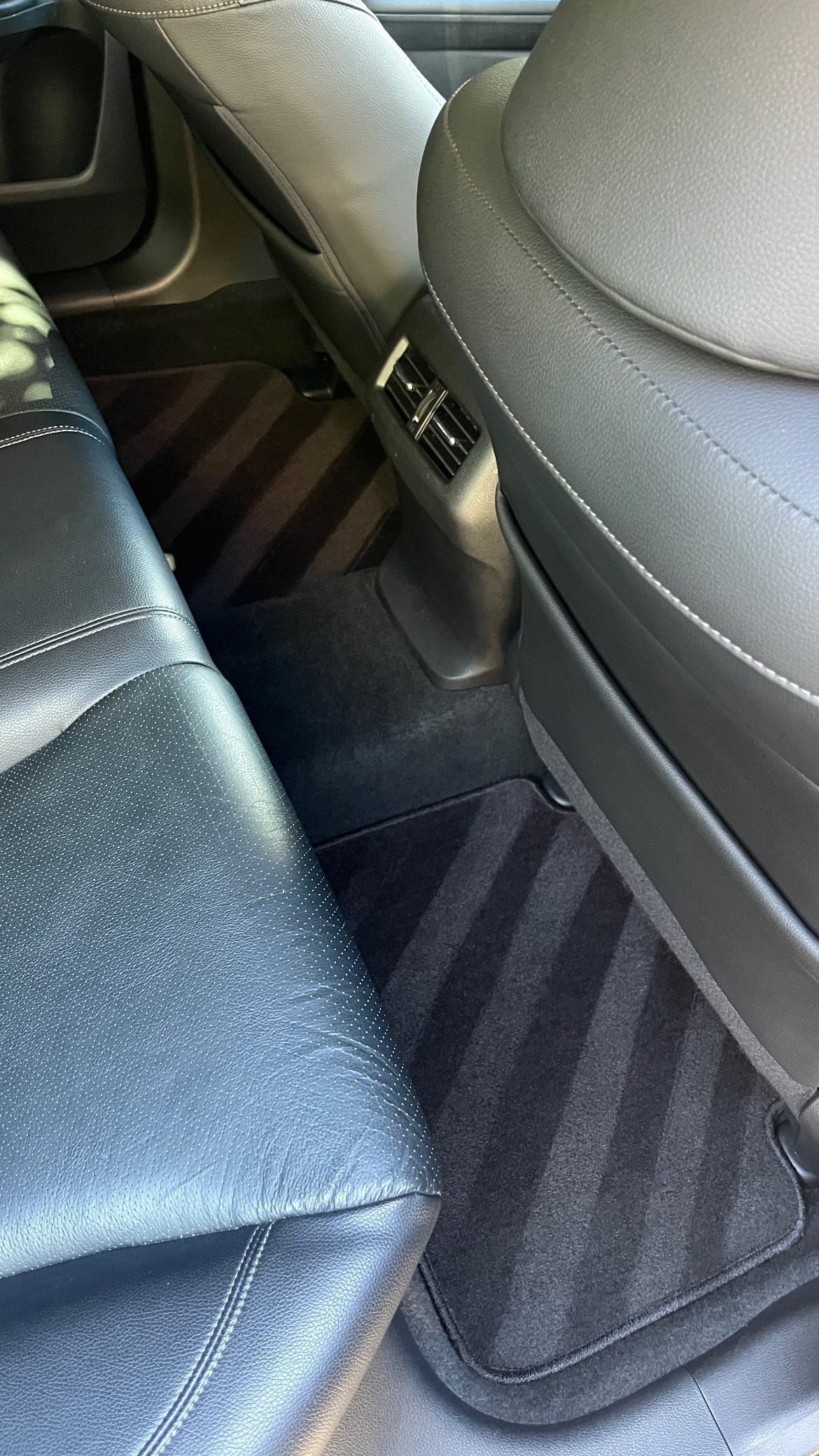 How Much Does Pet Hair Removal Cost in Silicon Valley? Explained by an Auto Detailing company