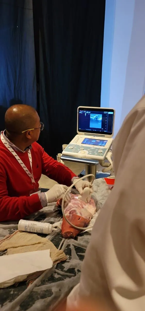 Procedimiento de ultrasonido