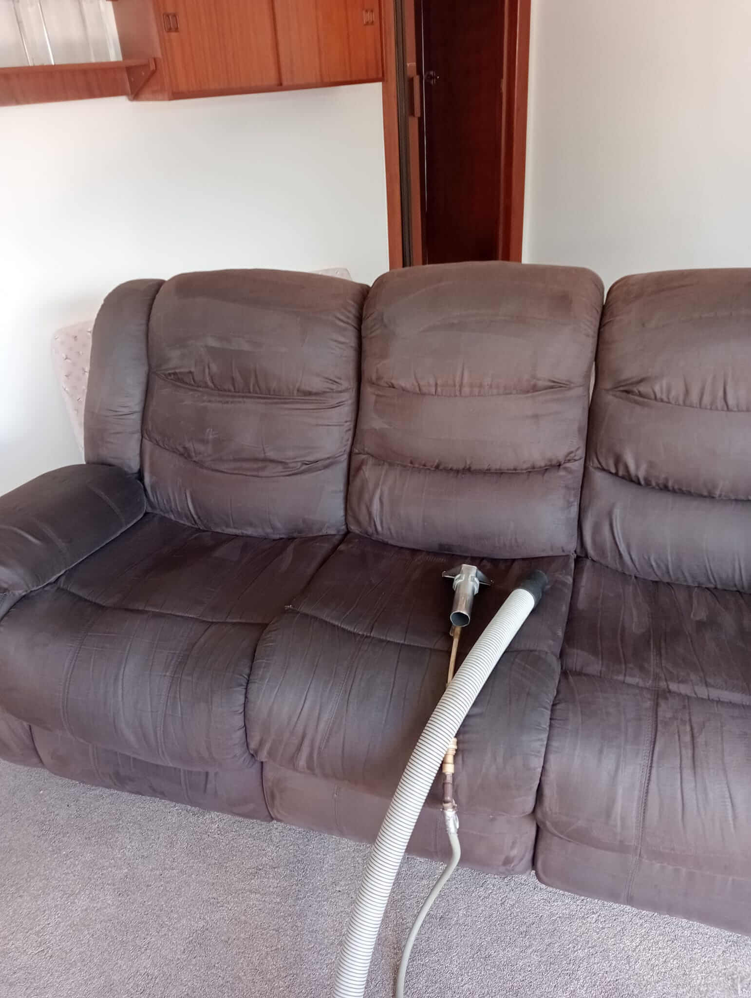 Deodorising and sanitising treatment on sofa in Whangarei