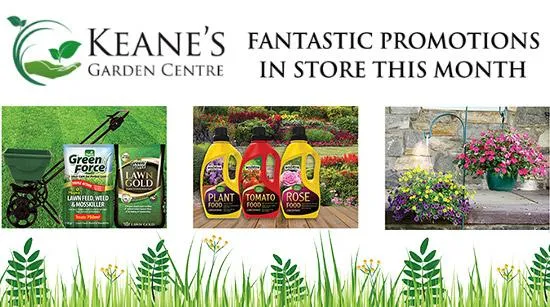 Keanes Garden Centre  | Banner Design by Cliste Design