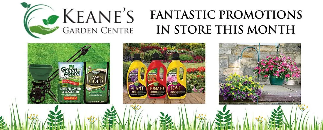 Keanes Garden Centre  | Banner Design by Cliste Design