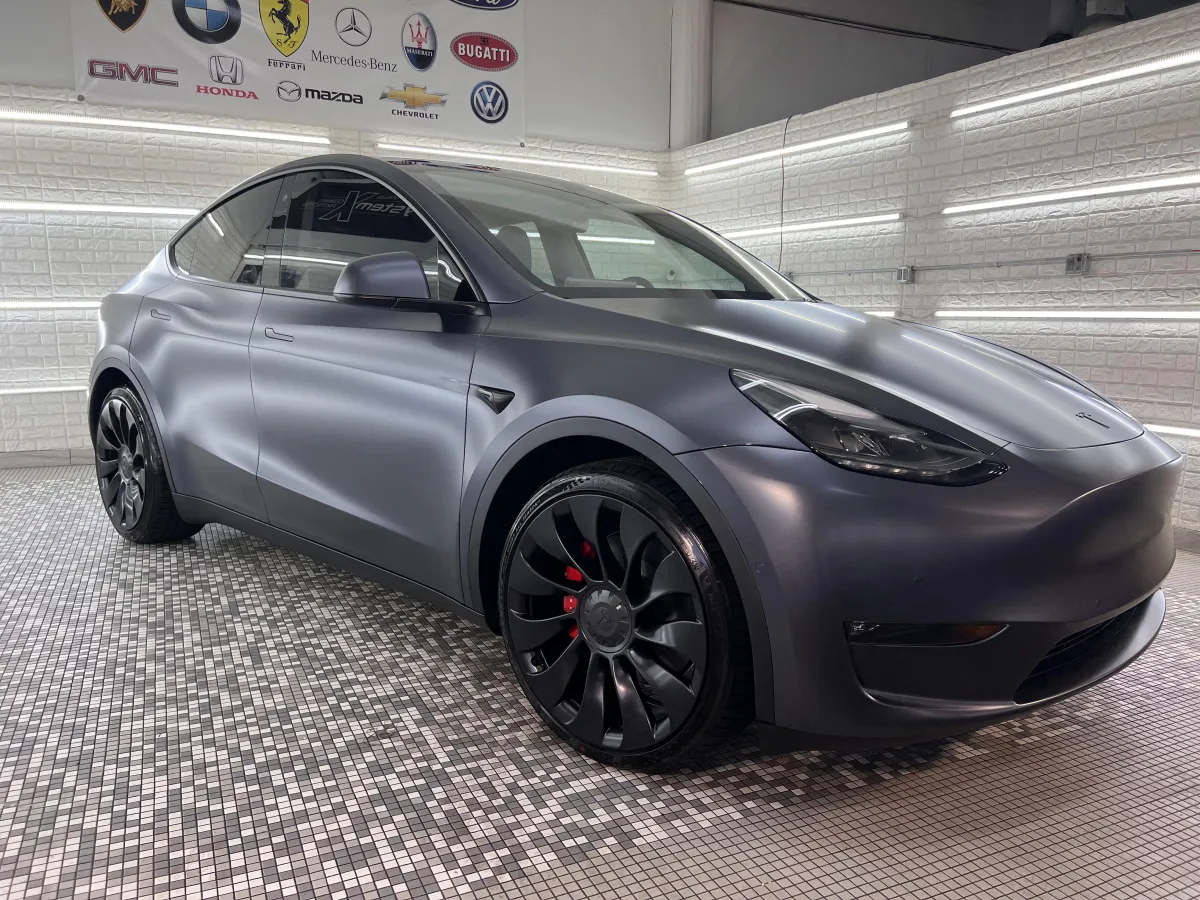 2019 Tesla Model 3 - Xpel Stealth PPF - Jason's Pro Detail
