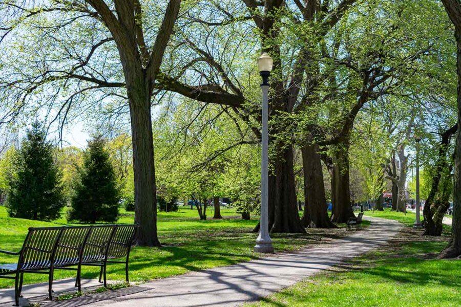 Alliance Deck Builders of Springfield logo