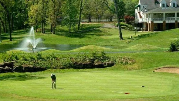 Cedar deck with black railing and wooded backdrop in The Bluffs