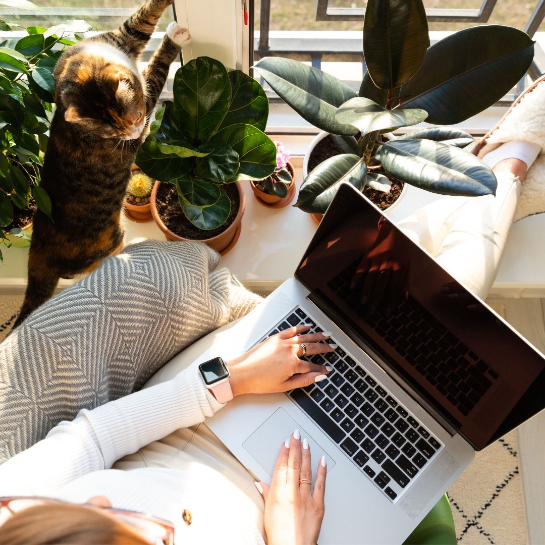 online therapy at Thrive with Therapy