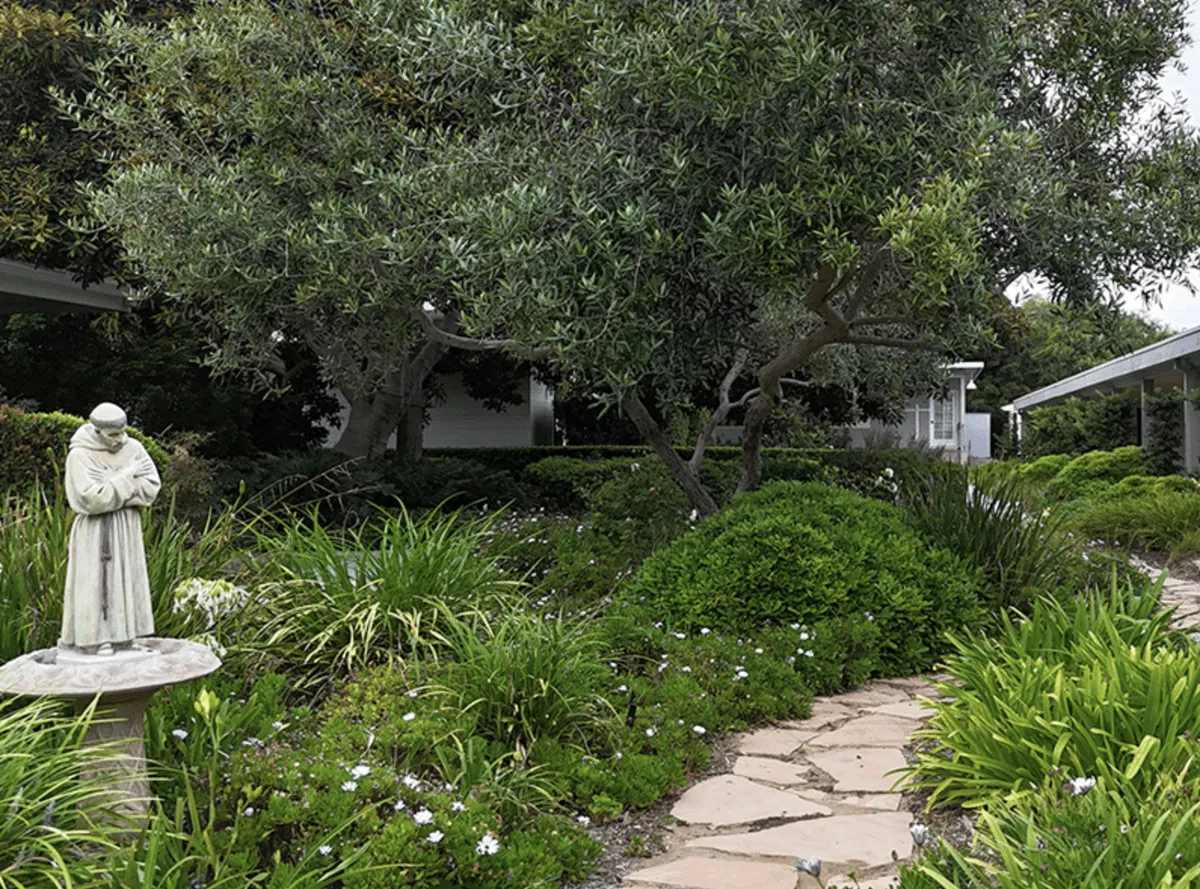 Monk statue beneath olive trees in the monastery garden at Prince of Peace Abbey