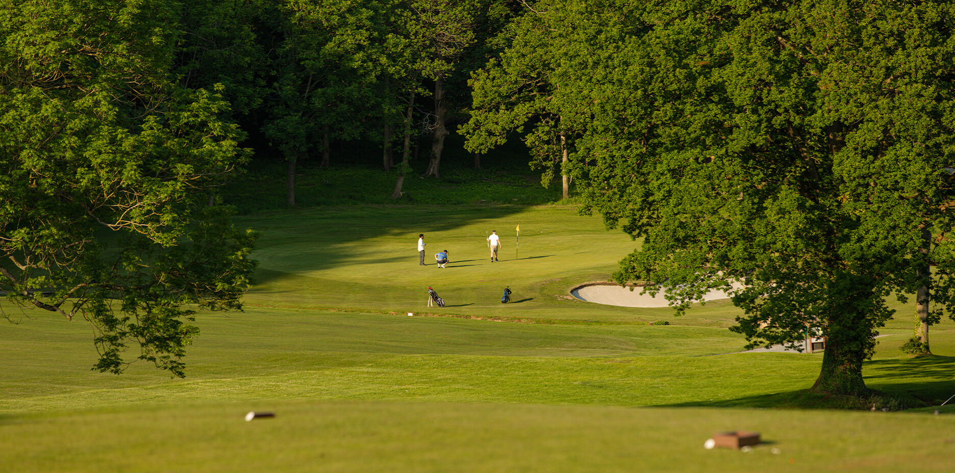 green grass field near green trees under white sky during daytime