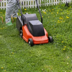 Lawn mowing service