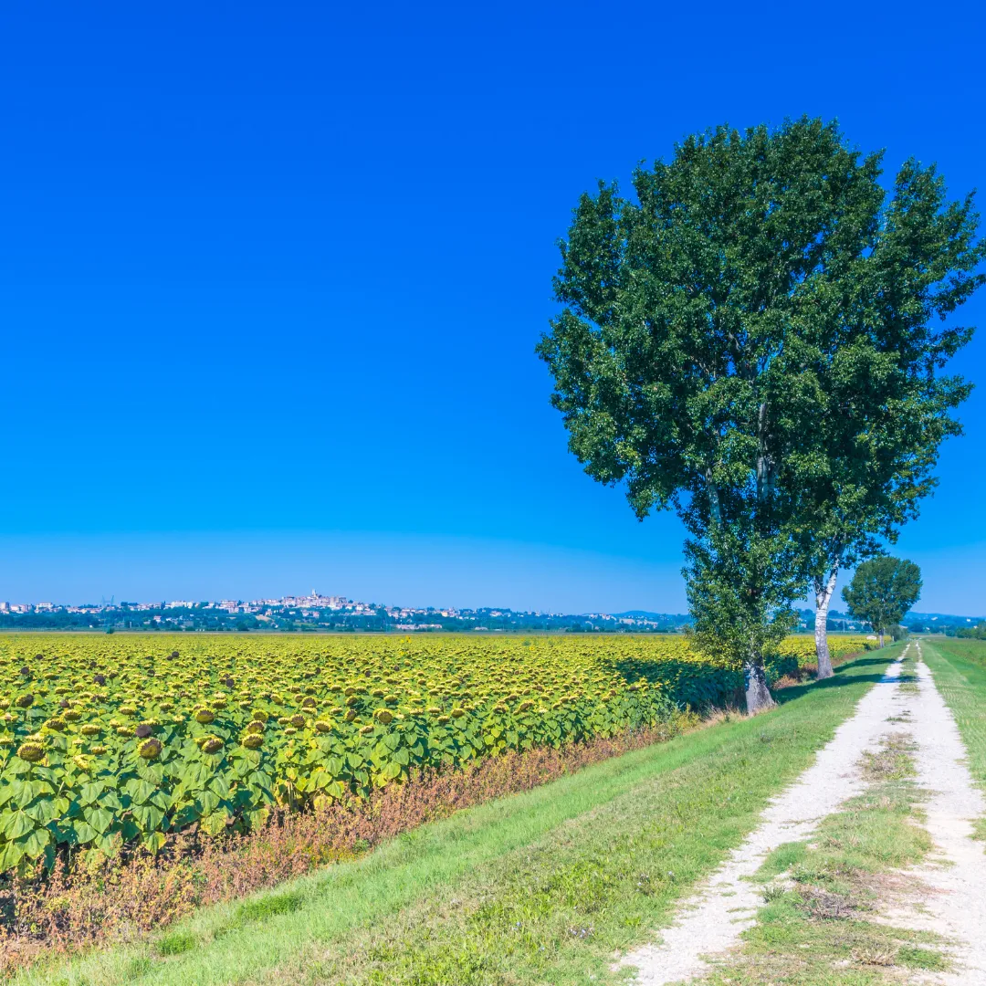Aperitivo experience in Cortona during Tuscany wine retreat