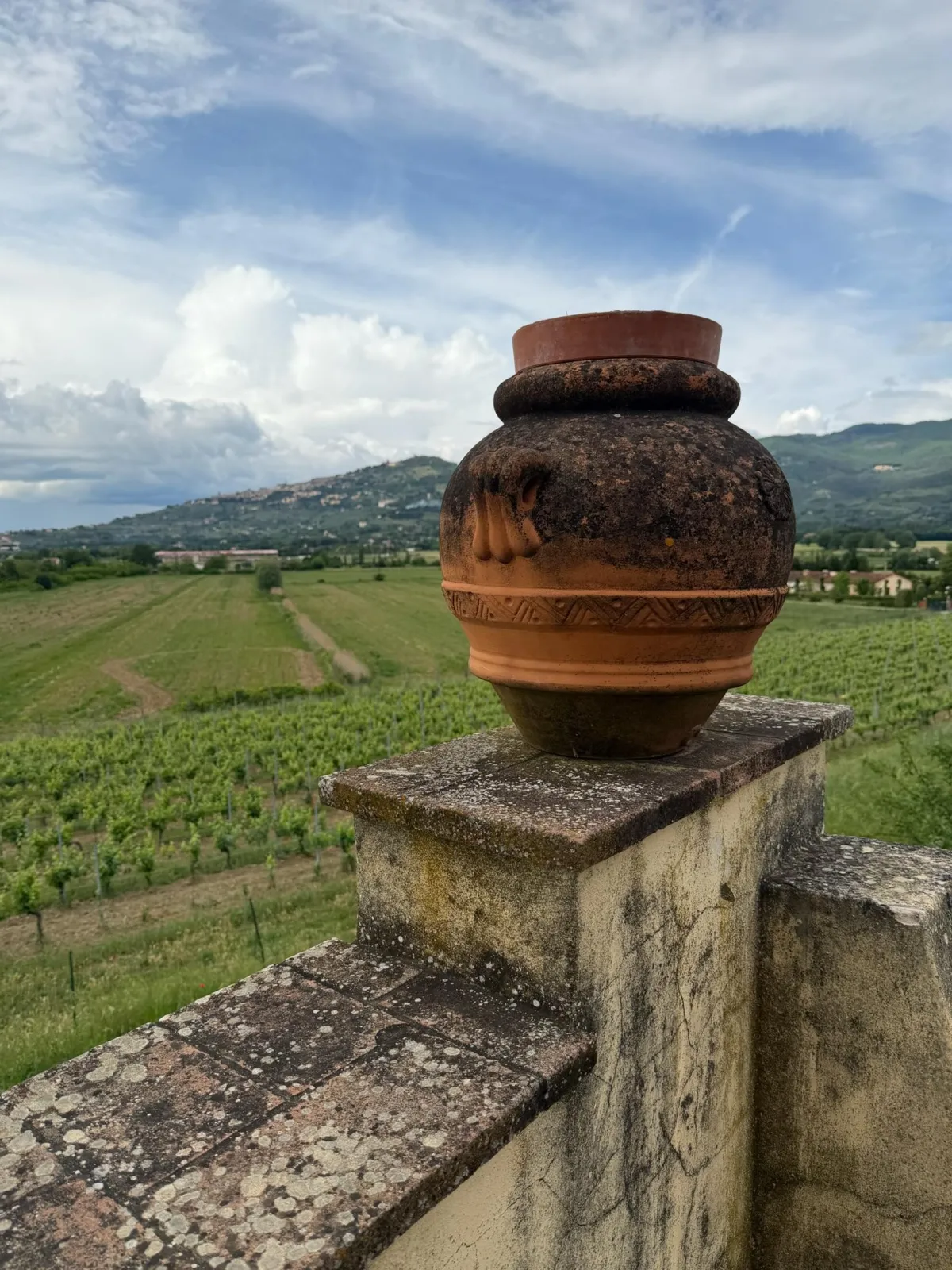 Tuscan dinner with wine pairings during hosted retreat