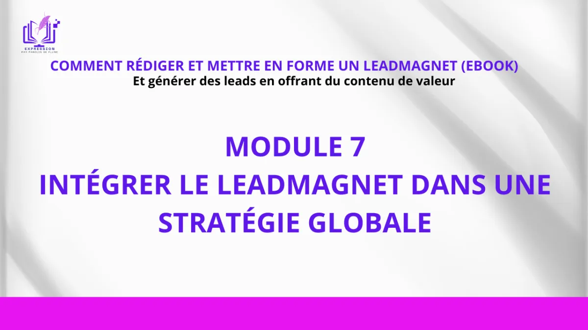 Leadmagnet dans une stratégie globale pour son business