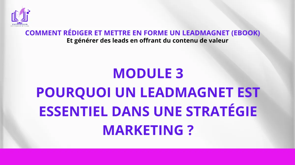 leadmagnet et stratégie marketing