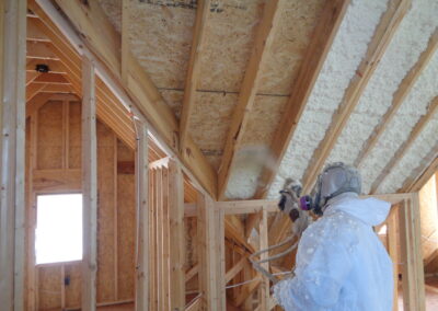 a flock of birds sitting on top of a power line
