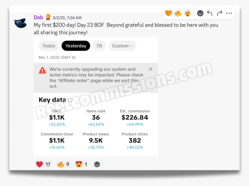 SCREENSHOT - TikTok Shop Affiliate Wins