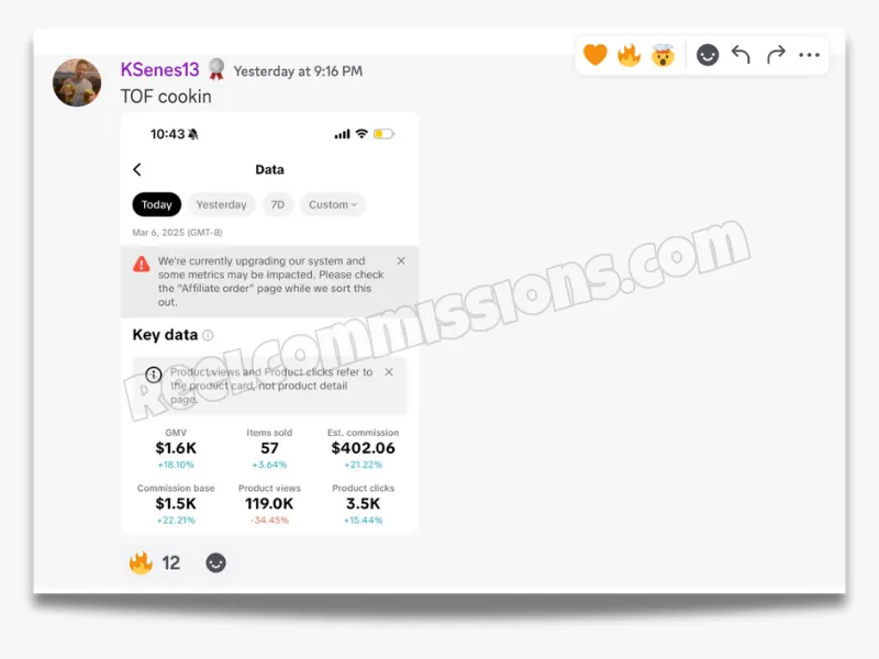 SCREENSHOT - TikTok Shop Affiliate Wins