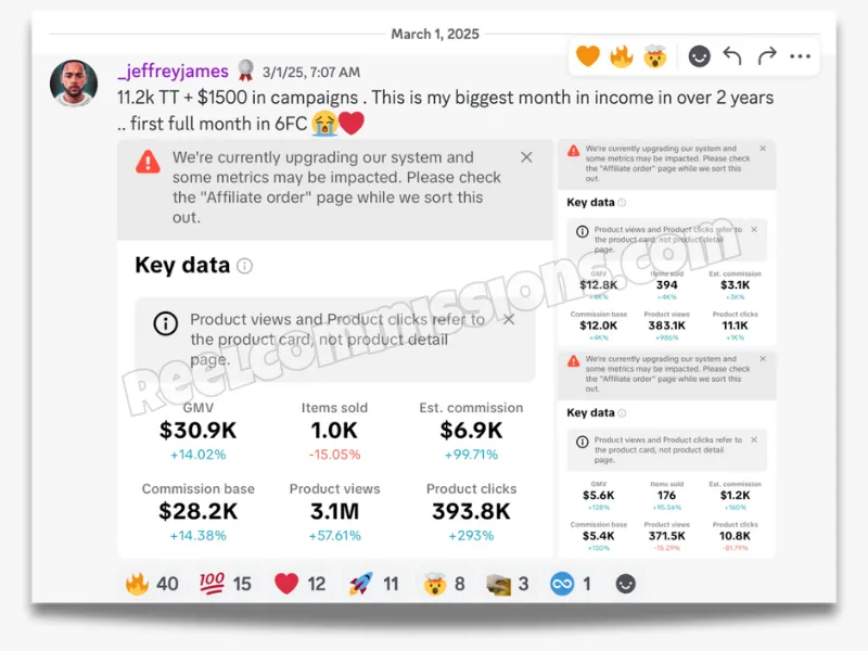 SCREENSHOT - TikTok Shop Affiliate Wins