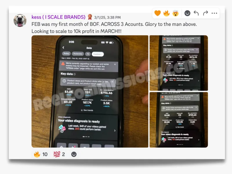 SCREENSHOT - TikTok Shop Affiliate Wins