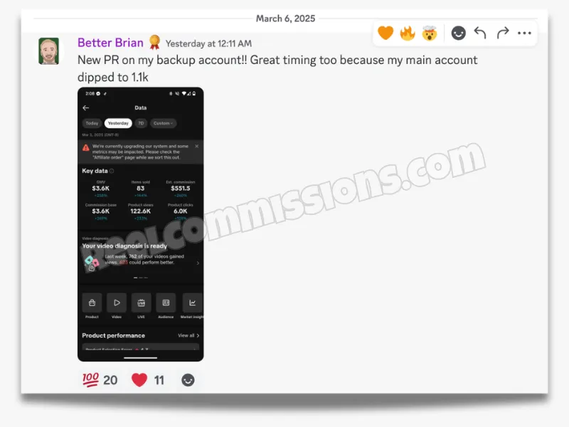 SCREENSHOT - TikTok Shop Affiliate Wins