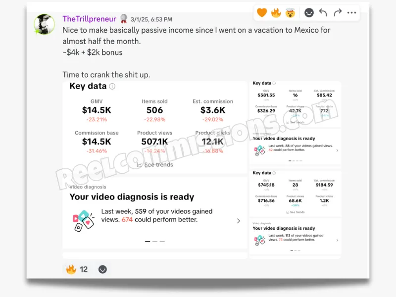 SCREENSHOT - TikTok Shop Affiliate Wins