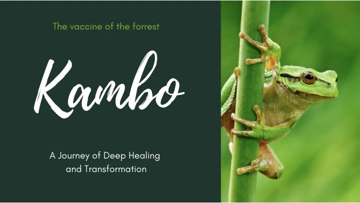 Kambo ceremony Amsterdam Chava Wild Roots