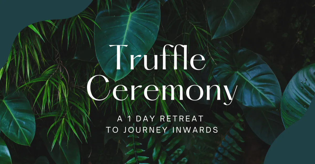 Kambo ceremony Amsterdam Chava Wild Roots