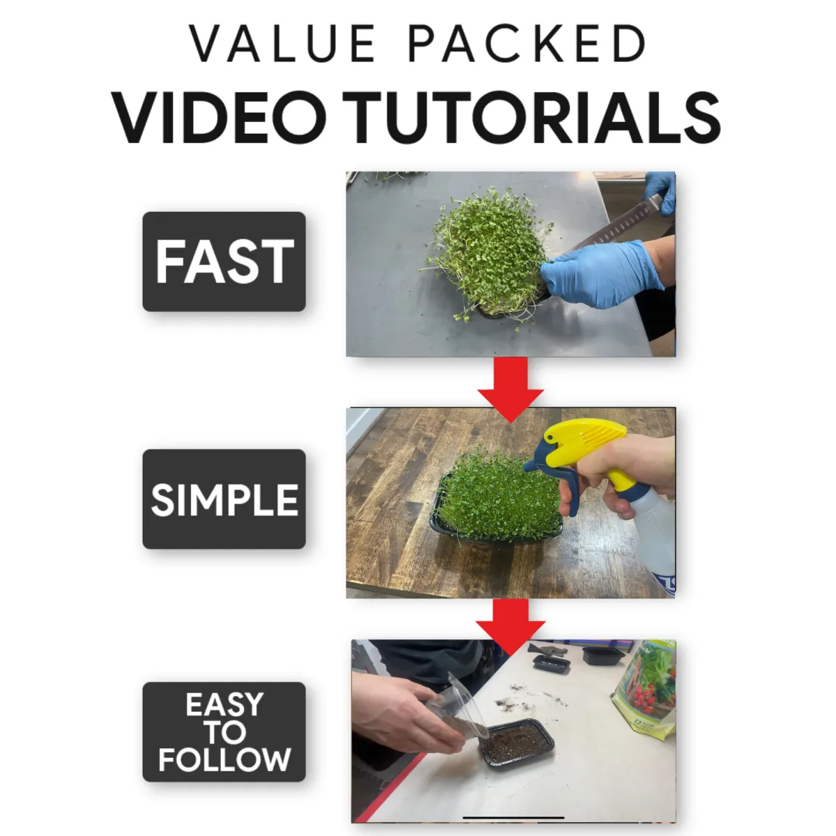 Easy simple easy to follow video tutorials