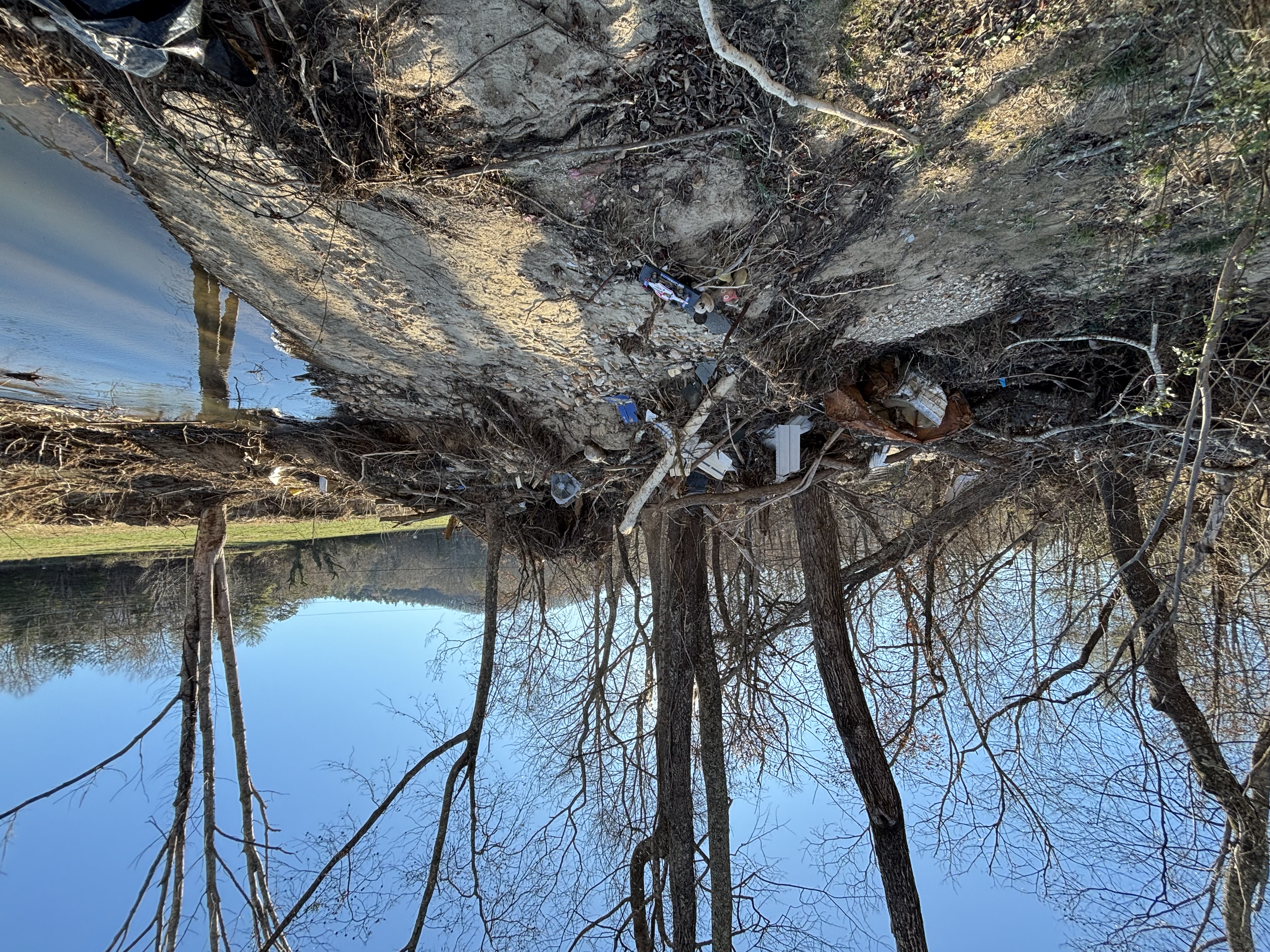 storm damaged land that needs storm cleanup services