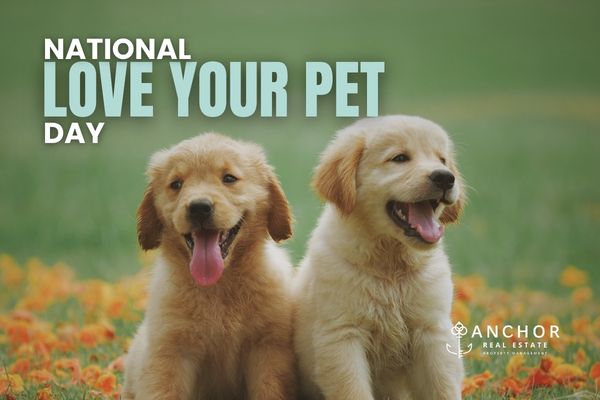 Love Your Pet Day: A Jacksonville, NC Landlord’s Guide to Pet-Friendly Rentals That Actually Work