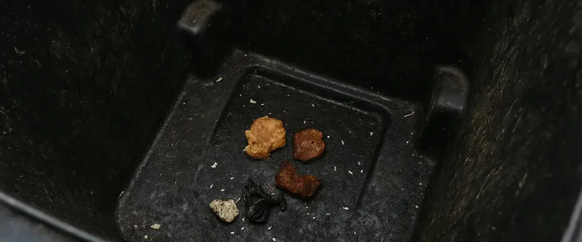 Assorted food scraps left at the bottom of a black garbage bin