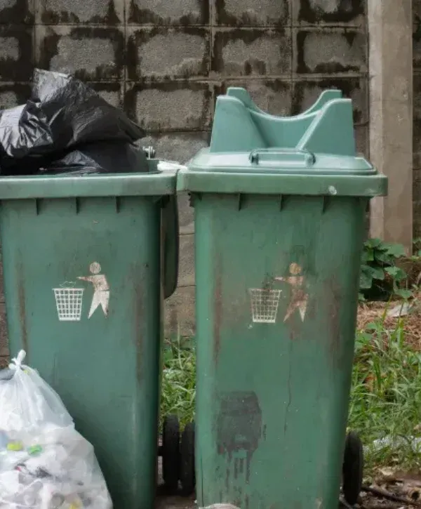 Green garbage bins lined up against a concrete wall