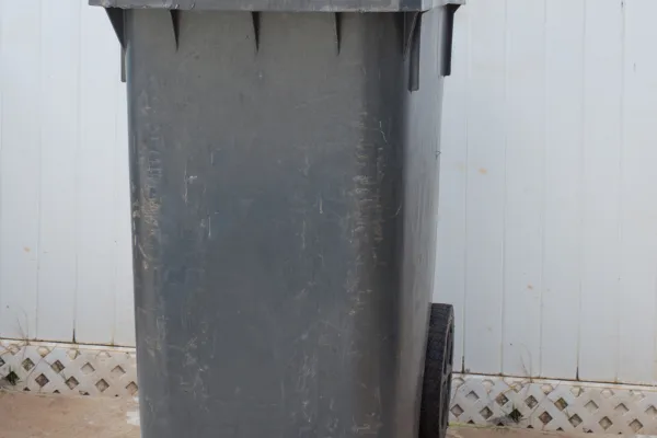The Hidden Health Benefits of a Trash Can Cleaning Service in O’Fallon, MO | Fresh Bins