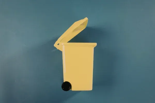 What Happens If You Never Clean Your Garbage Bin in O’Fallon, MO? | Fresh Bins