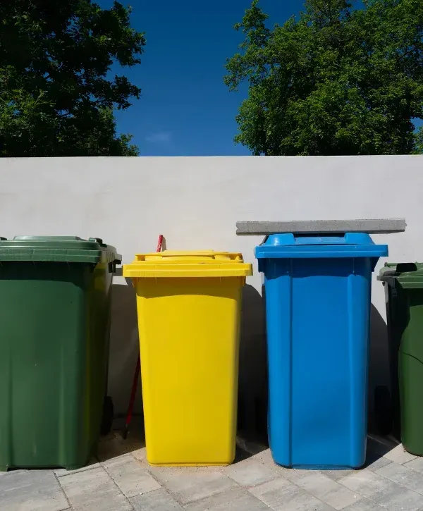 A row of green, yellow, and blue recycling bins sit against a white wall with trees and blue sky above.