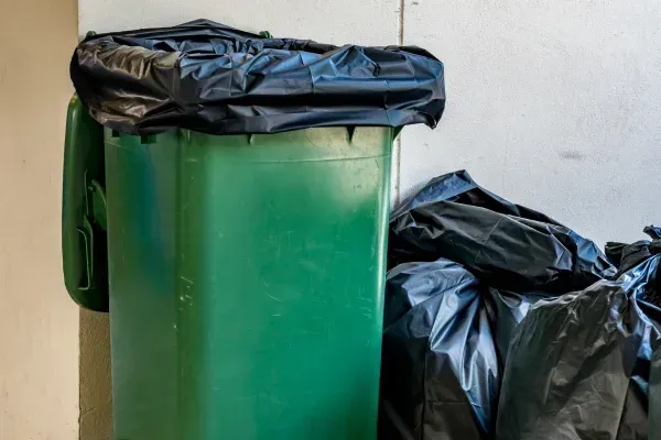 The Convenience of Scheduled Trash Can Cleaning Services in Ballwin