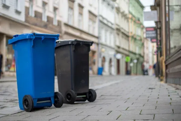 Why More Ballwin, MO Families Are Choosing Professional Garbage Bin Cleaning