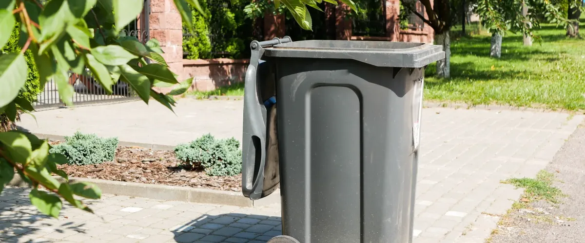 A large dark grey waste bin with an open lid on a paved path, framed by green leaves on a sunny day.