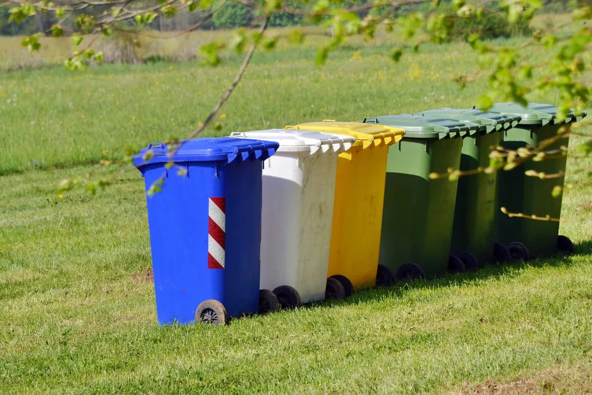 A row of blue, white, yellow, and green recycling bins with wheels standing on green grass under natural light.