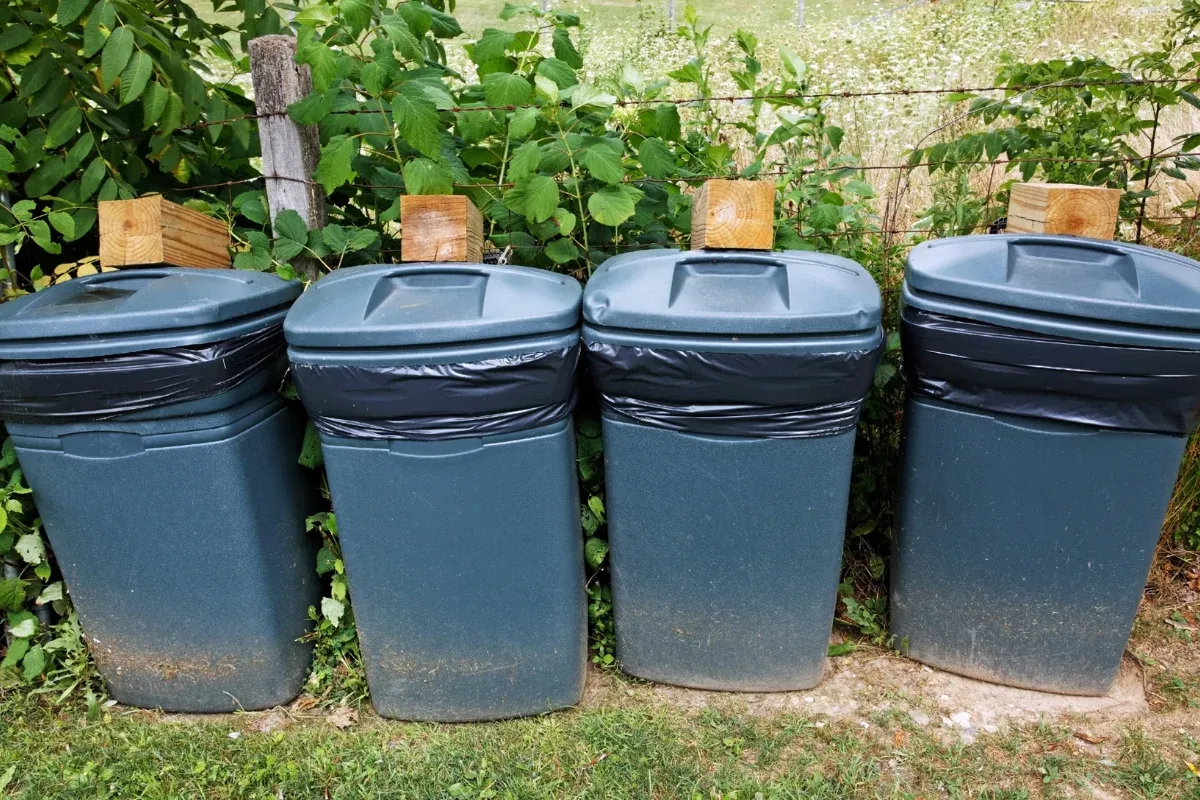 Four dark teal garbage bins with black liners and wooden blocks on top, lined up against a lush green fence.