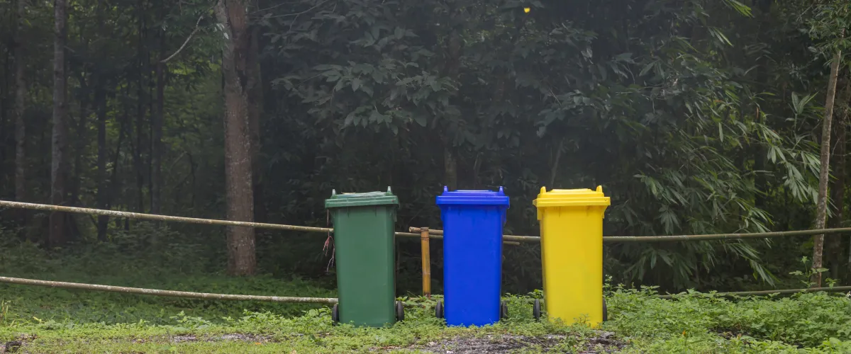 Three recycling bins in green, blue, and yellow stand in front of a forest with a bamboo fence.