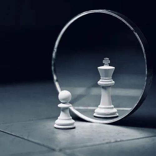 green fruit on brown tree branch